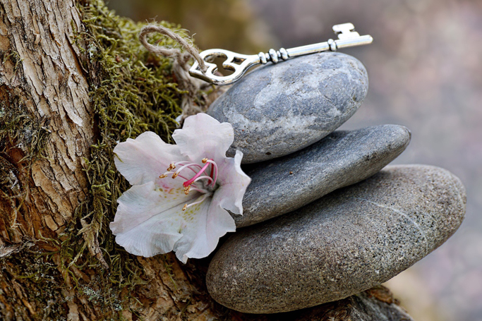 Verstand, auftreten, parallel, überzeugt, prüfen, kritisch, wohlwollend, betrachten, befinden, Anspruch, blamieren, ausdrücken, Erröten, Harndrang, Händezittern, Öffentlichkeit, erleben, meiden, fälschlicherweise, gehalten, Angstgefühl, bestimmt, Umstand, bezogen, verstärkt, Dauernervosität, Schlimm, Angstauslösend, unerwartet, Unfall, Angehörige, Freunde, Anspannung, Herzklopfen, Benommenheit, Schwitzen, Muskulatur, Magenbeschwerden, quälend, erlebt, immergleich, Zwangsgedanke, Zwangshandlung, wehren, übernehmen, innerlich, Funktion, Vorbeugung, Eintreten, unwahrscheinlich, unheilvoll, Ereignis, schützen, Schutz, schädlich, aggressiv, Handlung, befürchtet, ausführen, Ekel, Zwangsgedanke, nachvollziehbar, Unterdrückung, verstärkt, Qual, Kreislauf, Grübelzwang, zwanghaft, Idee, aufdrängend, bildhaft, endlos, Abwägen, zeitfressend, entziehen, Häufig, beinhalten, aggressiv, schambesetzt, lösen, Ekel, Unbehagen, Betroffene, verheimlichen, trauen, professionell, Zwangserkrankung, vierthäufigst