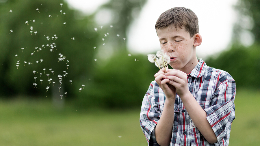 Kundenanforderung, sammeln, Information, suchen,  Lifestyle, gezielt, USP,  Aufbau, Verbesserungspotenzial, Indiz, Zahl, Fakt, essenziell, essentiell, unabdingbar, Wesen, Ding, Essenz, gehören, Bestandteil, organisiert, Aufspüren, Zusammenhang, Inhalt, Branding,  kommunikativ, Alleinstellungsmerkmal, verteidigungsfähig, zielgruppenorientiert, wirtschaftlich, Preis, Zeit, Qualität, Verkaufspsychologie, herausragend, Leistungsmerkmal, bezeichnet, Dienstleistung, deutlich, Abhebung, Veritabel, wahr, Bedeutung, angewandt, genau, entsprechend, wahrhaft, echt, wirklich, Kundenvorteil, Unique Selling Point, Mehrwert, Konkurrenz, Abheben, Verbraucher, Alleinstellungsmerkmal, Kauf, Anregen, visuell, Gefühl, potentiell, Auslösen, vermitteln, Eigenschaft, Wirtschaftsobjekt, Markenname, Verbindung, konkurrierend, Objekt, Unterschied, aktiv, Aushängeschild, Botschaft, assoziiert, schwach, verknüpfen, zusammenschließen, vereinigen, anschließen, Gemeinschaft, koalieren, verbinden, verbünden, zusammengehen